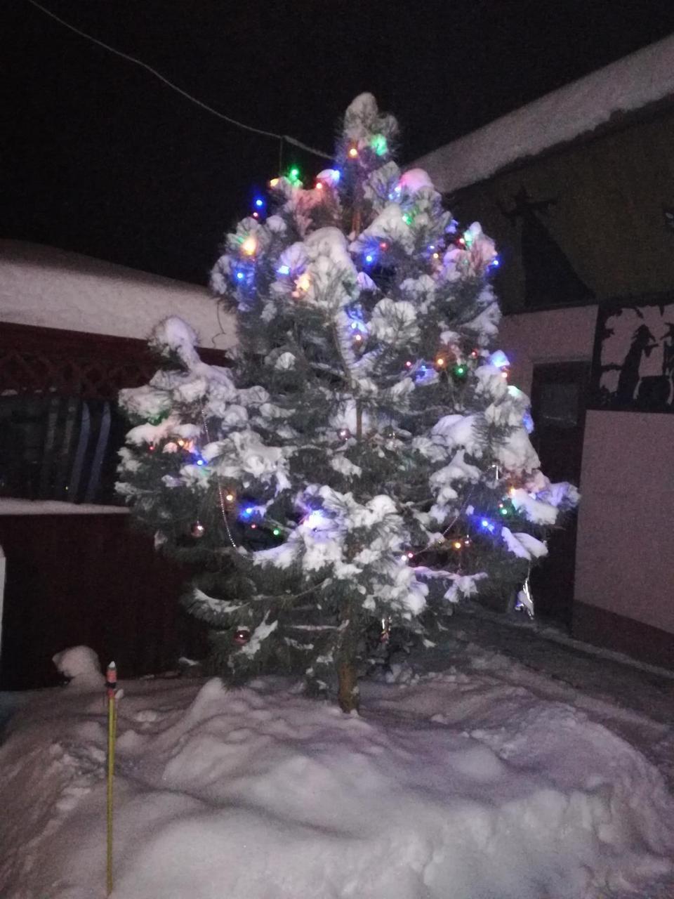 Appartamento Privát Erika Liptovský Ján Esterno foto